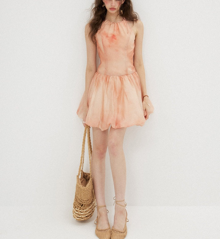 DR236222/Pre-order