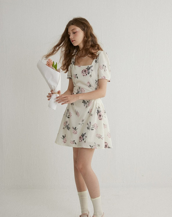 DR23786/Pre-order 2 colours