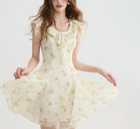 DR235093/Pre-order