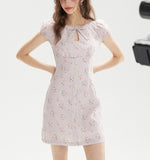 DR236207/Pre-order