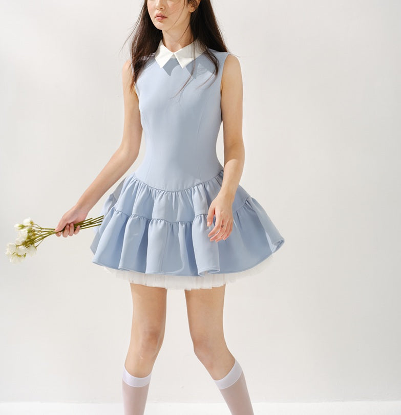 DR235235/Pre-order