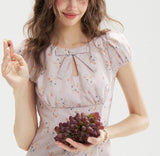 DR236207/Pre-order