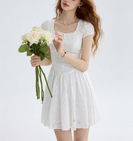 DR235556/Pre-order