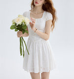 DR235556/Pre-order