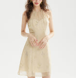 DR236208/Pre-order