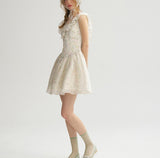 DR235064/Pre-order