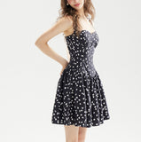 DR236230/Pre-order