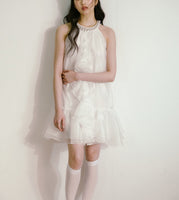 DR235109/Pre-order