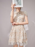 DR235638/Pre-order