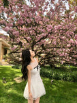 DR235653/Pre-order