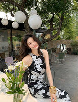 DR235648/Pre-order