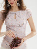 DR236231 Top/Pre-order