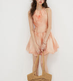 DR236222/Pre-order