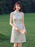 DR236113/Pre-order