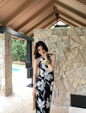 DR235648/Pre-order