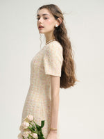 DR235627/Pre-order