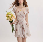 DR235171/Pre-order