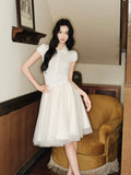 DR236094 Skirt/Pre-order 3 colour