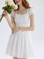 DR235556/Pre-order