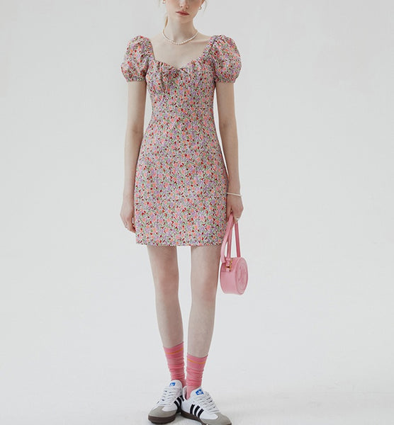 DR235663/Pre-order