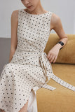 DR236239/Pre-order