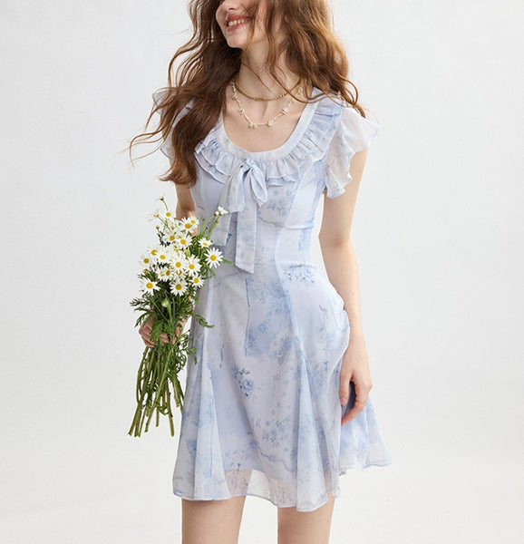 DR235157/Pre-order