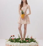 DR236111/Pre-order
