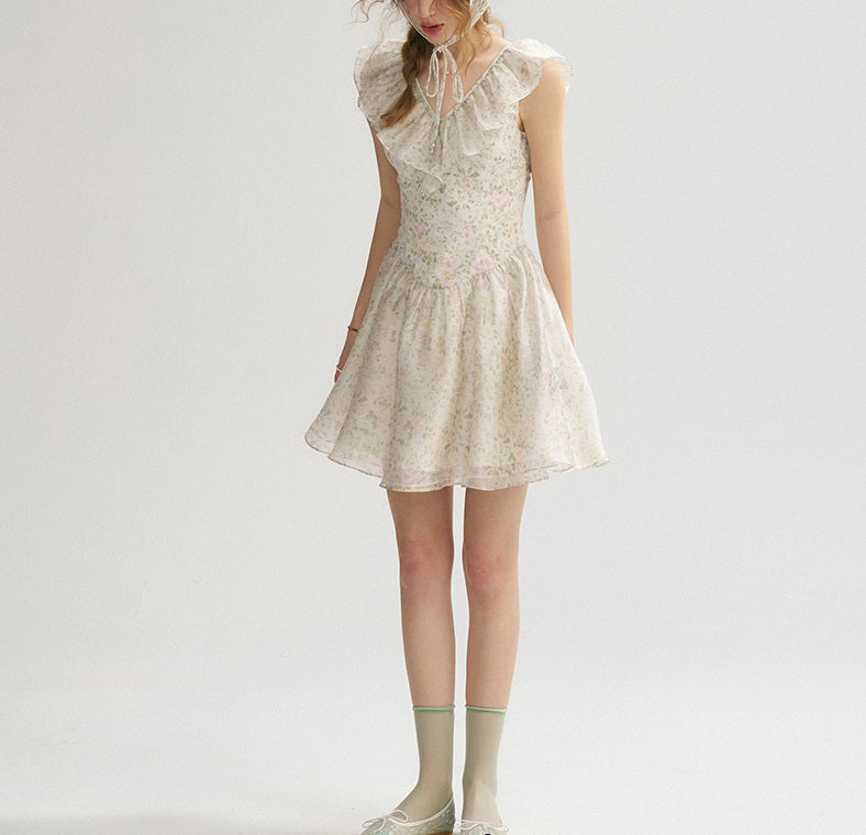 DR235064/Pre-order