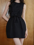 DR236236/Pre-order 2 colours