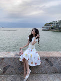 DR236090 Skirt/Pre-order
