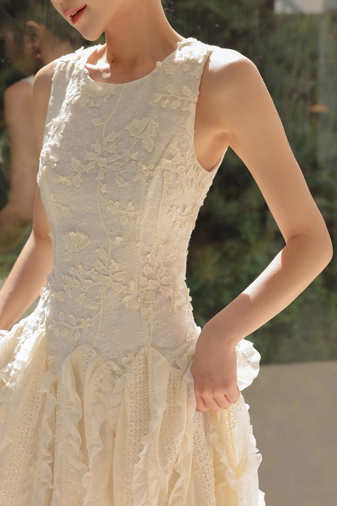DR236160/Pre-order