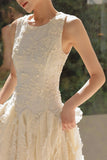 DR236160/Pre-order
