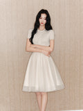 DR236094 Skirt/Pre-order 3 colour
