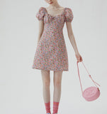 DR235663/Pre-order