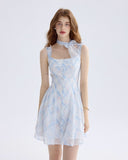 DR235570/Pre-order