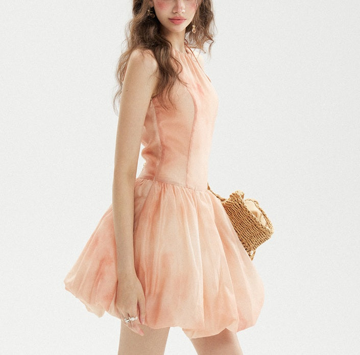 DR236222/Pre-order