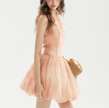 DR236222/Pre-order