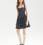 DR236230/Pre-order