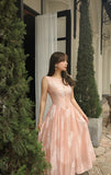 DR236263/Pre-order