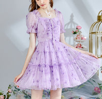 DR235237/Pre-order