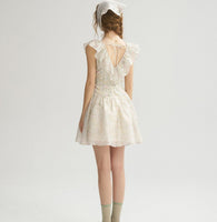 DR235064/Pre-order