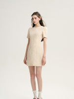 DR235627/Pre-order
