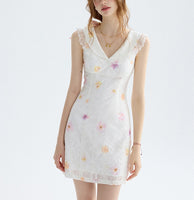 DR235588/Pre-order