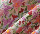 DR235663/Pre-order