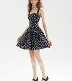DR236230/Pre-order