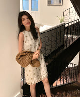DR235584/Pre-order