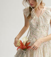 DR235064/Pre-order
