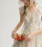DR235064/Pre-order