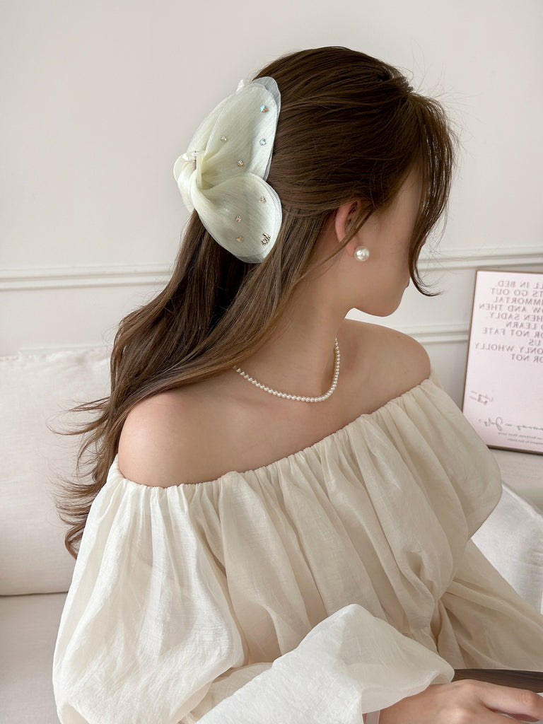ER25253/Pre-order