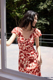 DR236218/Pre-order